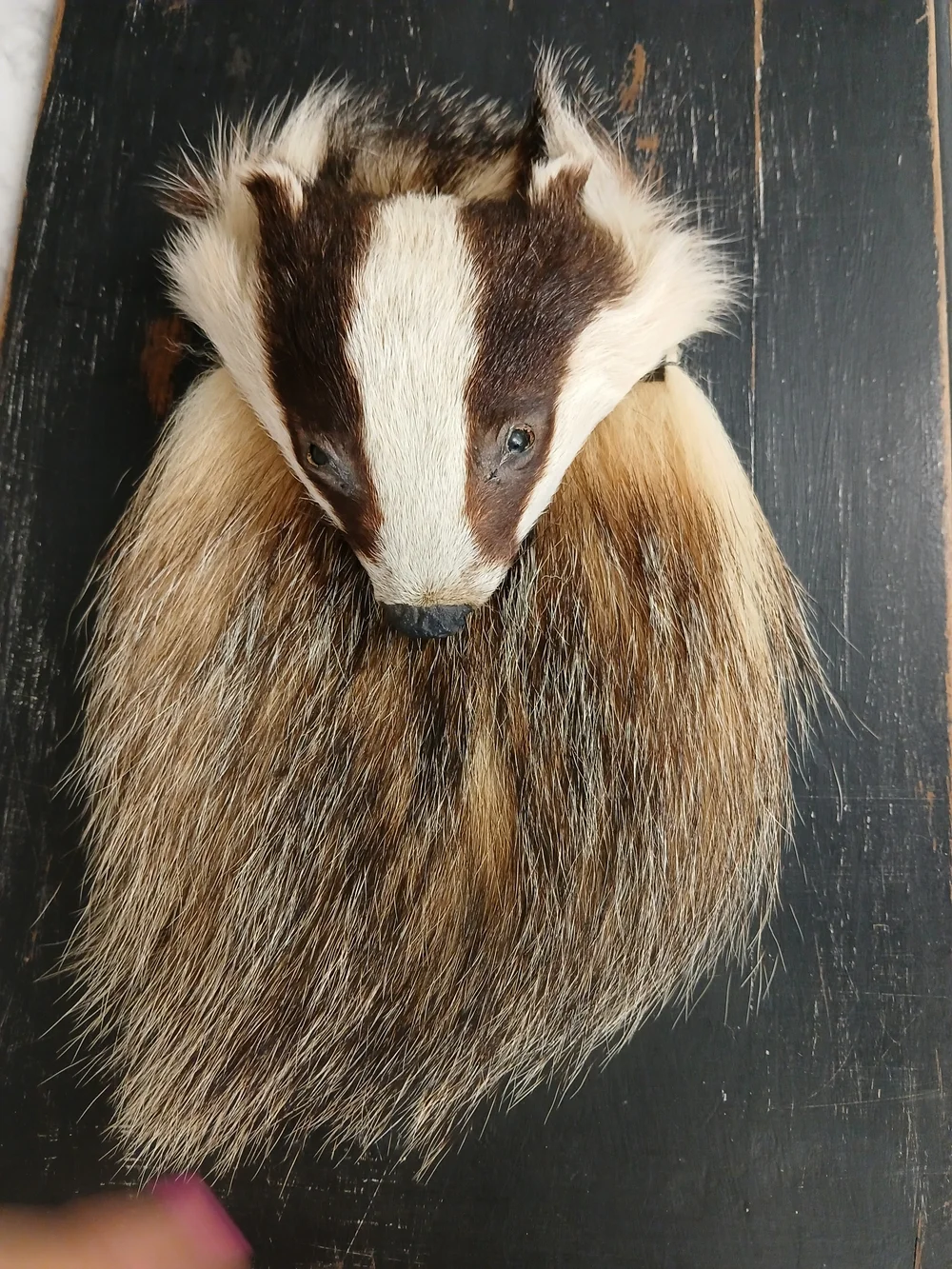 Antique Authentic Scottish Sporran